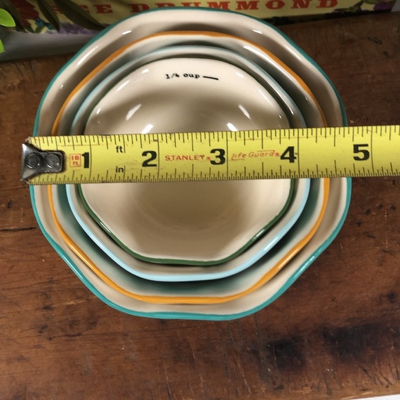 Pioneer Woman Rare Rose Shadow Nesting Measuring Bowls Cups Set of 4 - Picture 13 of 17